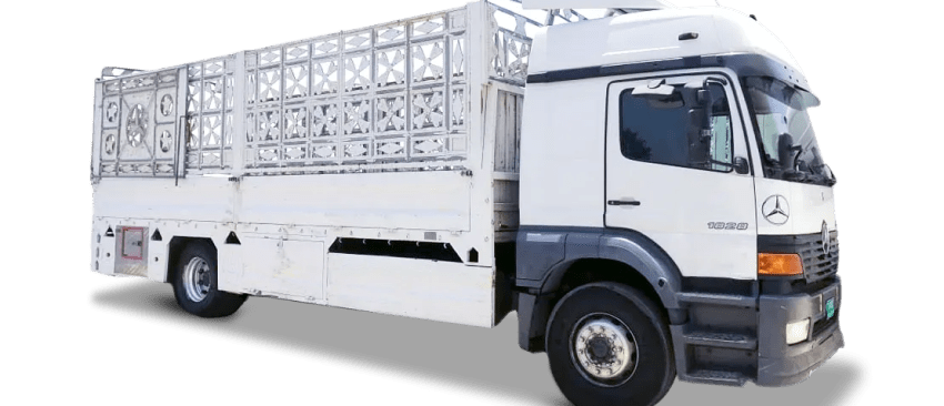 10-Ton-Pickup-Truck-In-Dubai