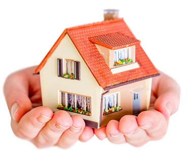 movers packers dubai